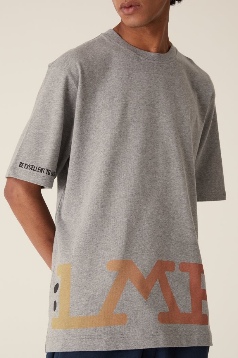 La Martina LMRTN Basic T-shirts Grau | KYND4535