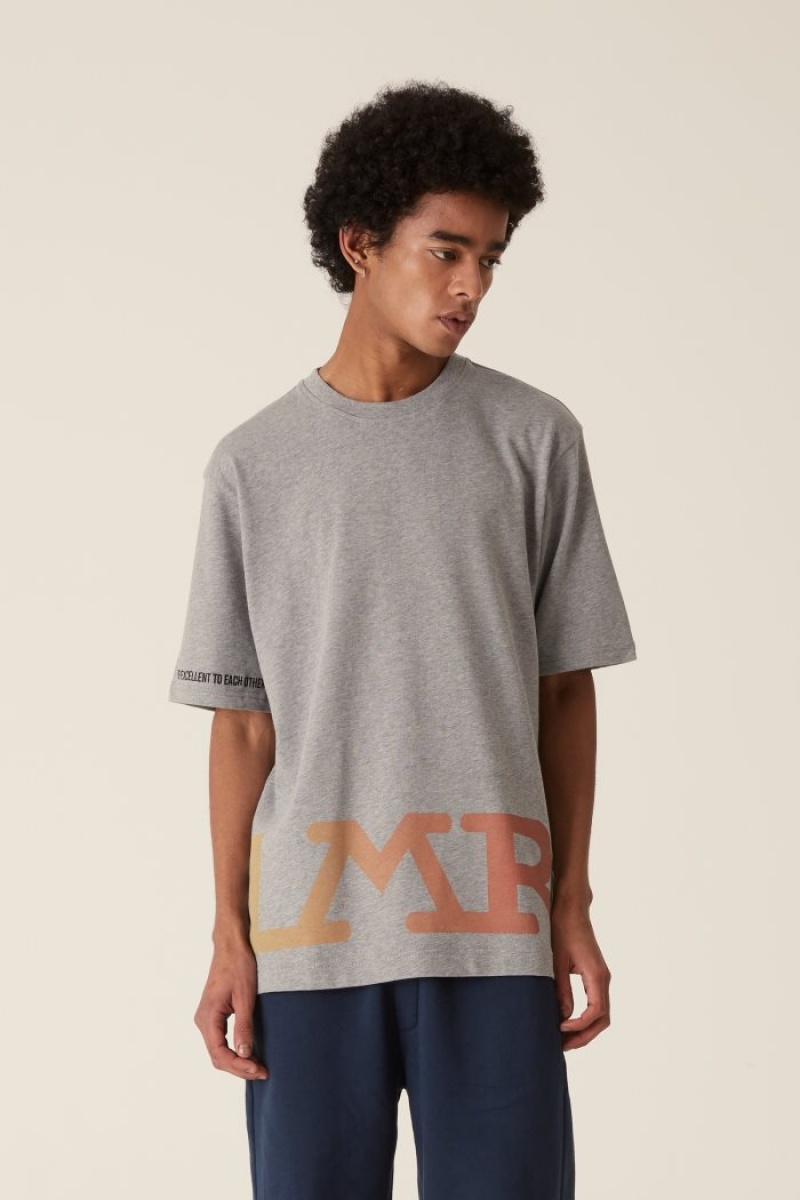 La Martina LMRTN Basic T-shirts Grau | KYND4535