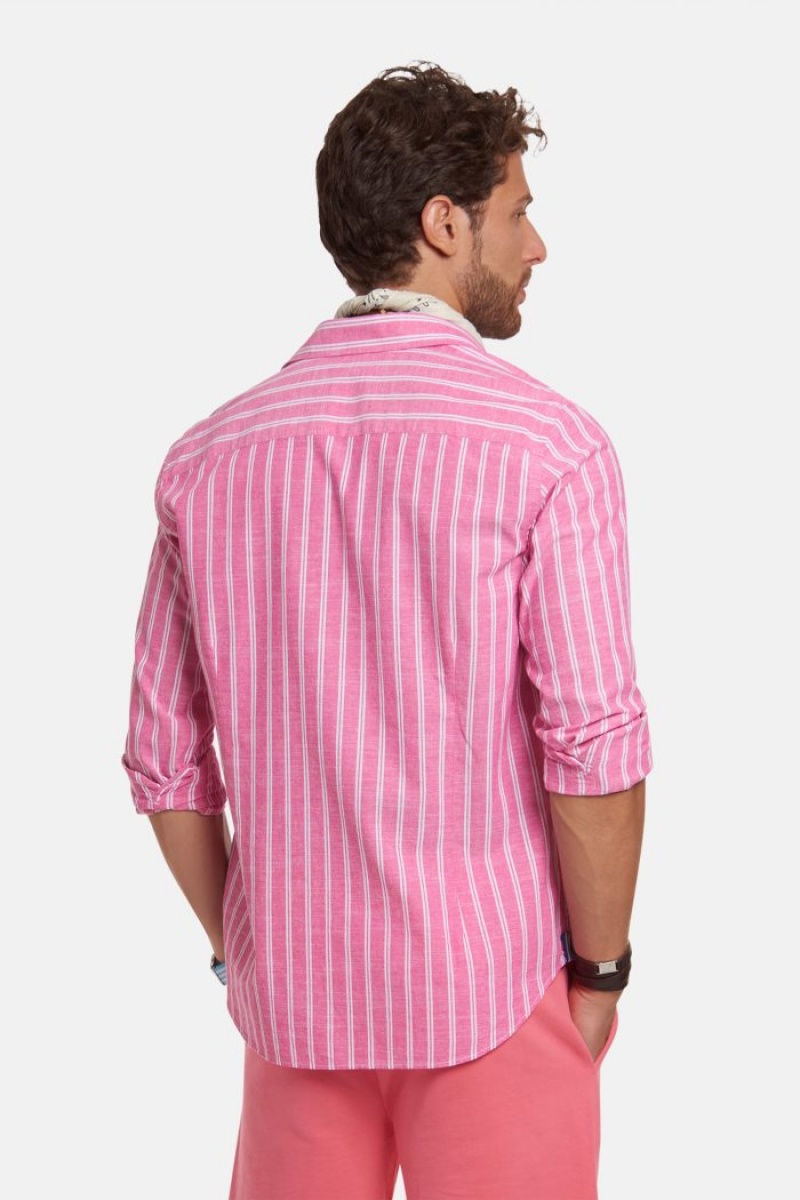 La Martina Regular-fit 100% Baumwoll Hemd Herren Rosa Weiß | GOOX8704